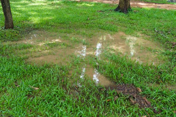 Cost of Storm Water Drainage Service in Mechanicsburg