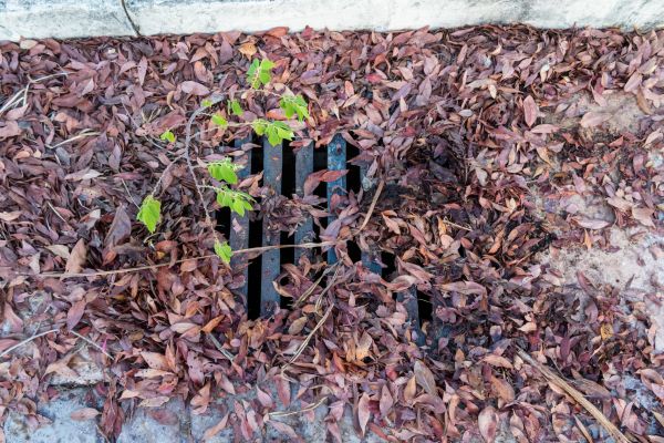 Cost of Yard Drain Unclogging in Mechanicsburg