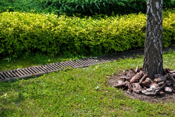 Cost of Residential Landscape Drainage in Mechanicsburg