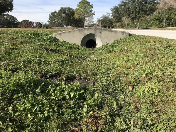 Cost of Swale Drainage Service in Mechanicsburg